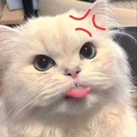 แอดเองงับบ🎀🧸