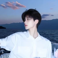 ทิวลิป