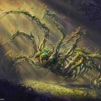 Acromantula🕷️.