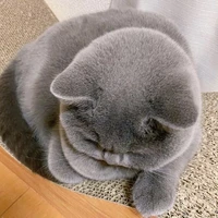 เณอหลิน