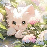 Belle ( Enigma Cat)