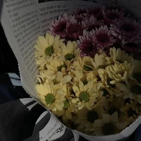 มัมหมีพี่อชิ