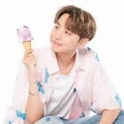 Hobi