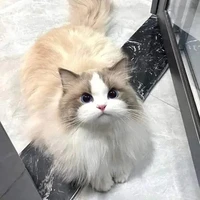 เเอดเองงง