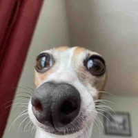 เเอดเองจ้า~