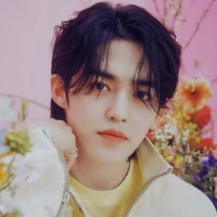 S-coups