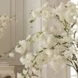 𝐈𝐧𝐭𝐢𝐧𝐲𝐚 𝐆𝐮𝐫𝐮