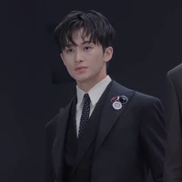 Lee mark