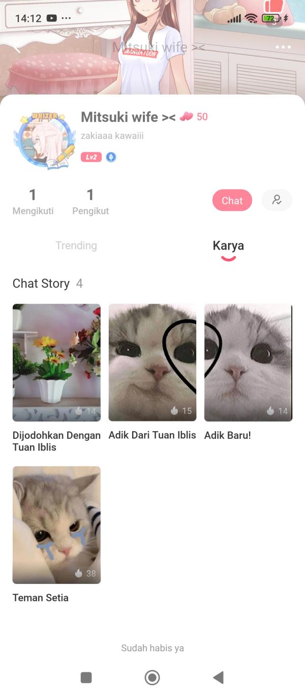 NovelToon