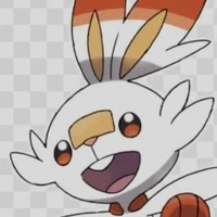 scor buny