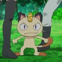 meow