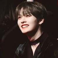 Lee know(Minho)