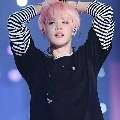 jimin halstlen