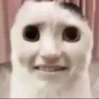 แอดเอง