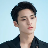 Mingyu ( In book )