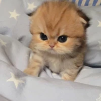 นาริเองงง(⁠๑⁠˙⁠❥⁠˙⁠๑⁠)