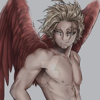 hawks