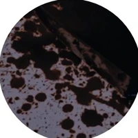 autora
