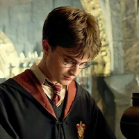 Harry Potter/Mc