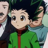 Gon Freecss