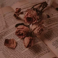 Author 😌😌❤️