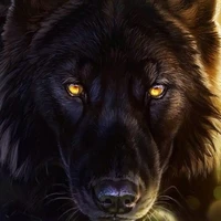 Wolfy