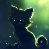 mimi(cat)