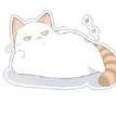 chiro