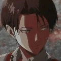 Levi