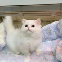 แอดคนงาม