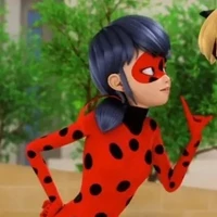 Ladybug