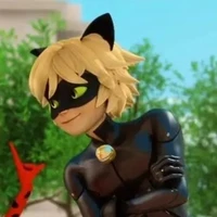 Chat noir