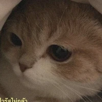 แอดเองจ่ะะ