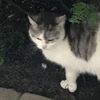 ลุค ? ? ?