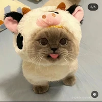 แอดเองจร้าา