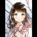 Akohh:v (Author)