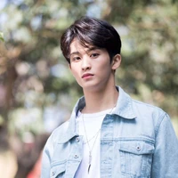 นีโม่:แฝดจีโน่