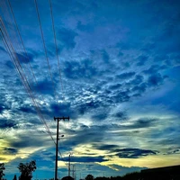 ผู้กำกับ