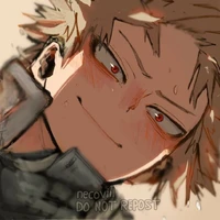 ˏˋ°•*⁀➷
katsuki bakugou