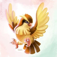pidgeot