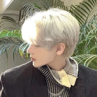 เว่ย เว่ย(นายเอก)