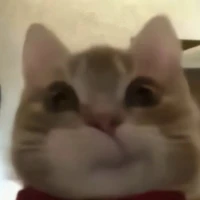 มิว