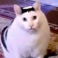 ดีเจ