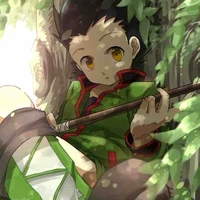 Gon Freeces