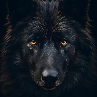 Lobo do Naruto