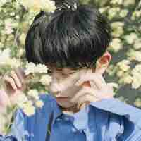 โยอิจิ ชิโฮ