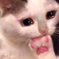 เเอดฮับฟู้วว