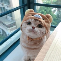 อาโออิ(เพื่อนเเอด)