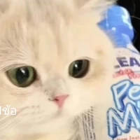 แอดปุ๊กกี้คนสวยๆ😘