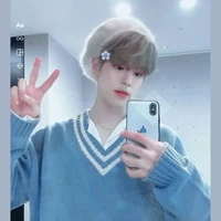 seungmin🍓 (O)